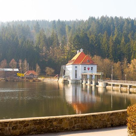 Ferienhaus Nr 6, Typ A, Feriendorf Jaegerpark, Bayerischer Wald Viechtach Buitenkant foto